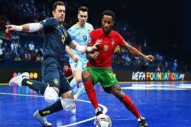 星空体育 (china)官方网站 - STAR SPORTS