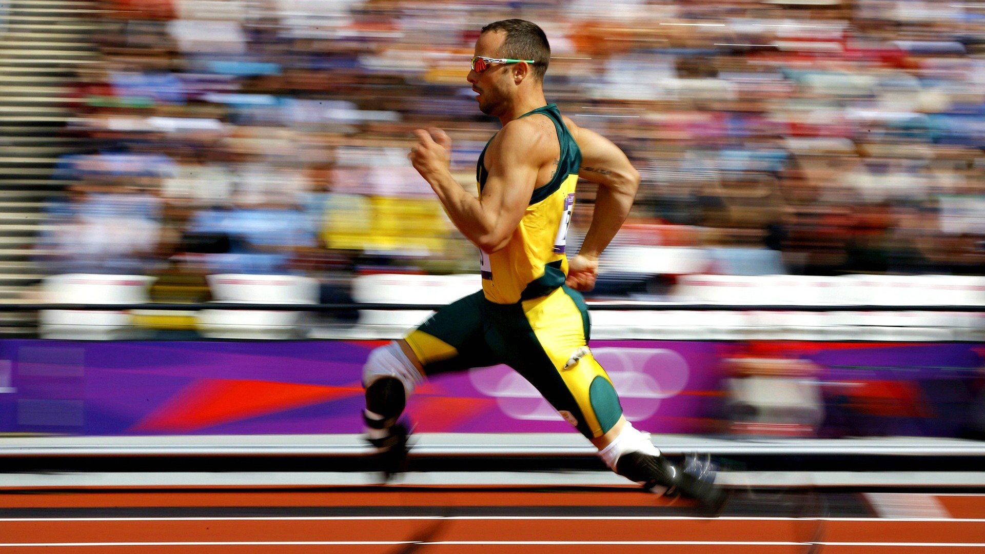 体育场馆建设全面升级